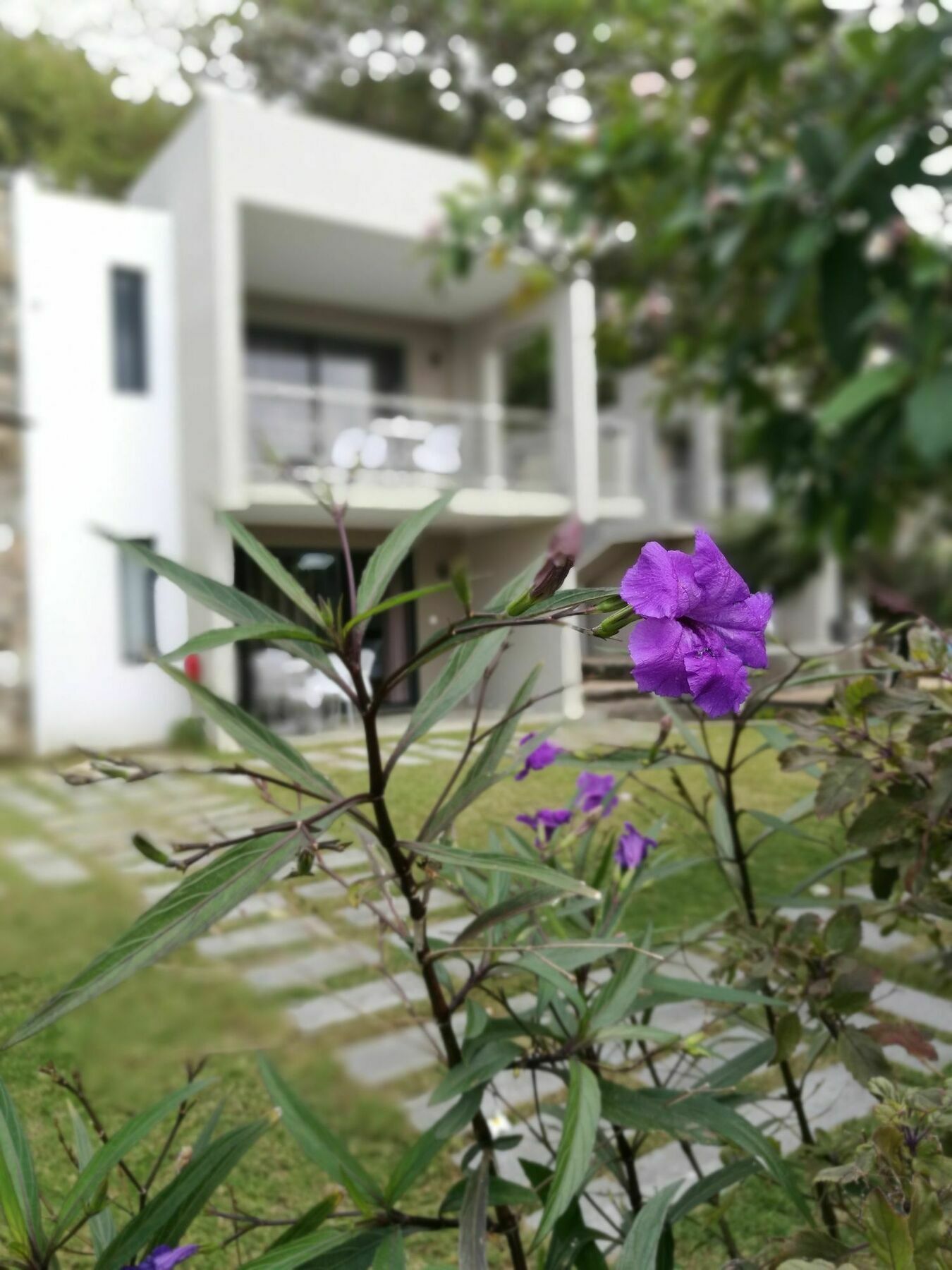 Valmarin Seafront Apartments Trou d'Eau Douce Εξωτερικό φωτογραφία